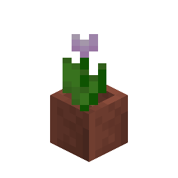 Potted Pink Tulip