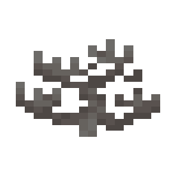 Dead Fire Coral