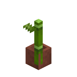 Potted Bamboo