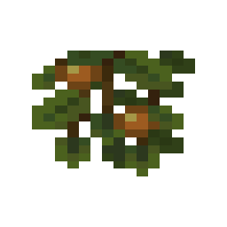 Cave Vines