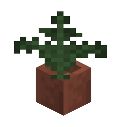 Potted Fern