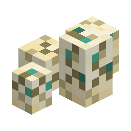 Turtle Egg