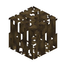 Mangrove Roots