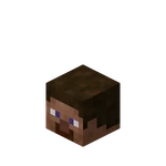 Player Head