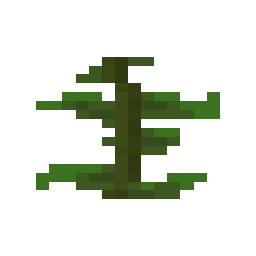 Kelp Plant