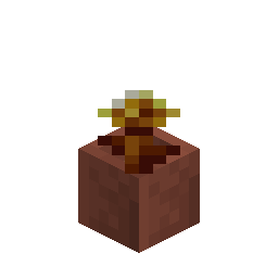 Potted Golden Dandelion