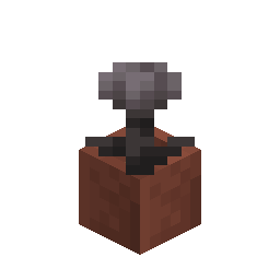 Potted Closed Eyeblossom