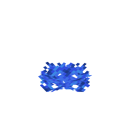 Tube Coral Fan