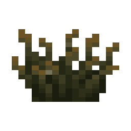 Firefly Bush
