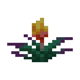 Torchflower
