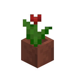 Potted Red Tulip