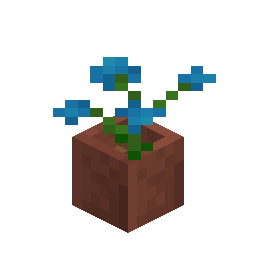 Potted Blue Orchid