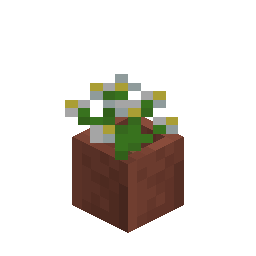 Potted Azure Bluet