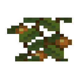 Cave Vines Plant