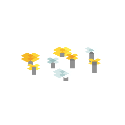 Wildflowers