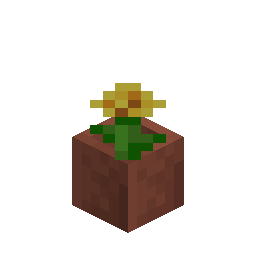 Potted Dandelion