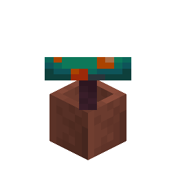 Potted Warped Fungus