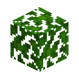 Jungle Leaves