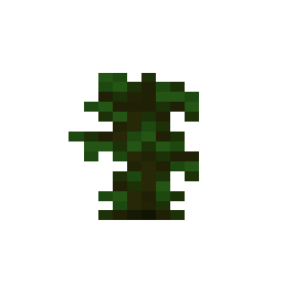 Jungle Sapling