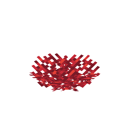 Fire Coral Fan