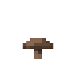Brown Mushroom