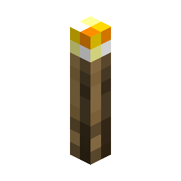Torch