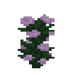 Peony