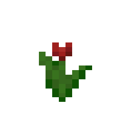 Red Tulip