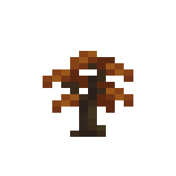 Poplar Sapling