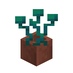 Potted Warped Roots