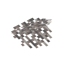 Dead Fire Coral Wall Fan
