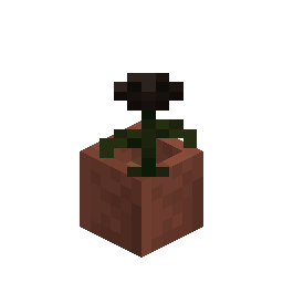 Potted Wither Rose