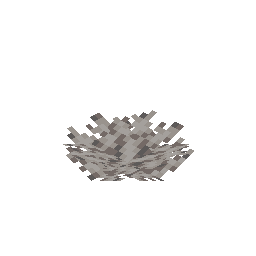 Dead Bubble Coral Fan