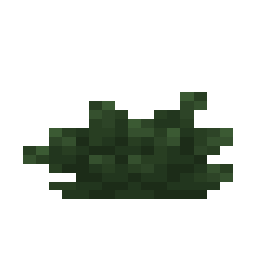 Bush