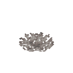 Dead Horn Coral Fan