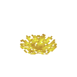 Horn Coral Fan