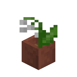 Potted Lily of the Valley