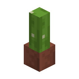 Potted Cactus