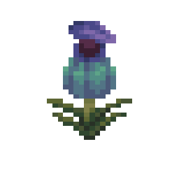 Pitcher Plant