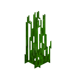 Tall Seagrass