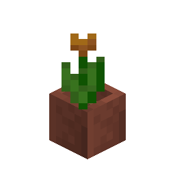 Potted Orange Tulip