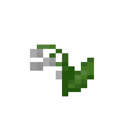 Lily of the Valley