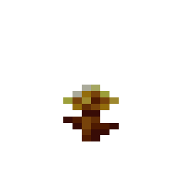Golden Dandelion