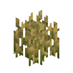 Wheat