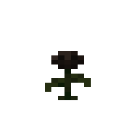 Wither Rose