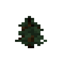 Spruce Sapling