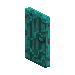 Warped Door