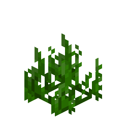 Seagrass