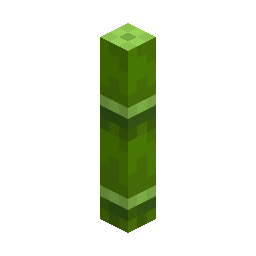 Bamboo