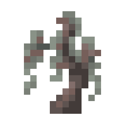 Pale Oak Sapling